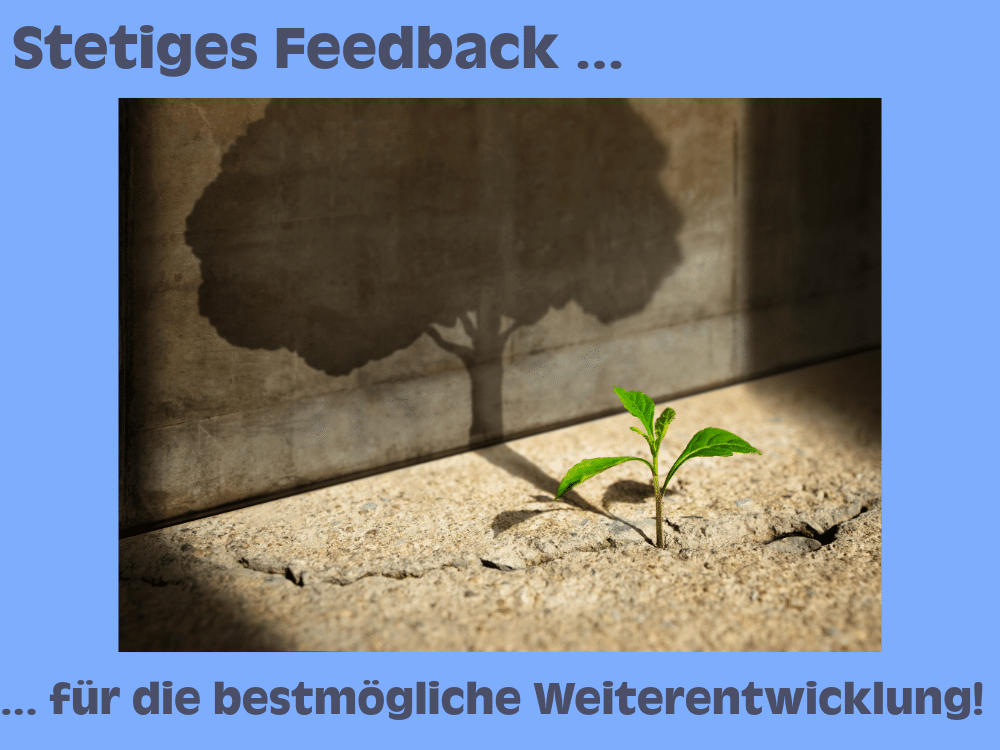 Eine Pflanze wirft einen Schatten, daneben der Text „Stetiges Feedback für die bestmögliche Weiterentwicklung“.